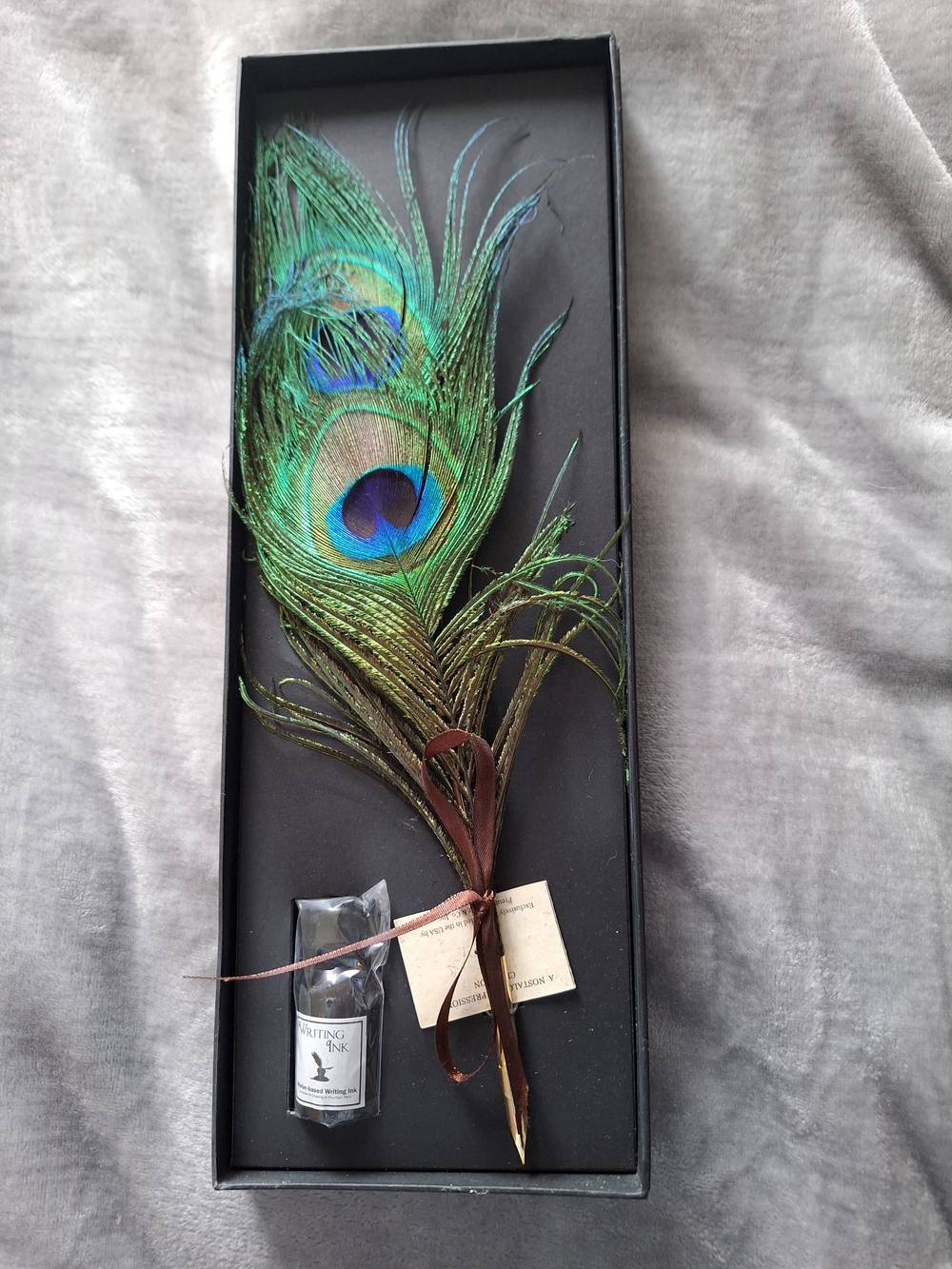 Peacock Feather Quill Pen with Ink